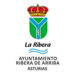 Nitlux es adjudicataria del concurso: "Reforma de las instalaciones de alumbrado exterior en el concejo de Ribera de Arriba"